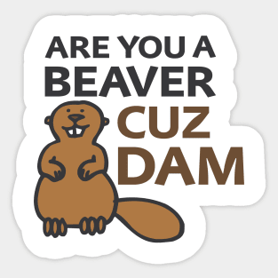 Are You a Beaver? Cuz Dam Sticker